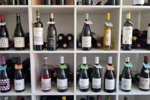 Cecilia Fern&aacute;ndez