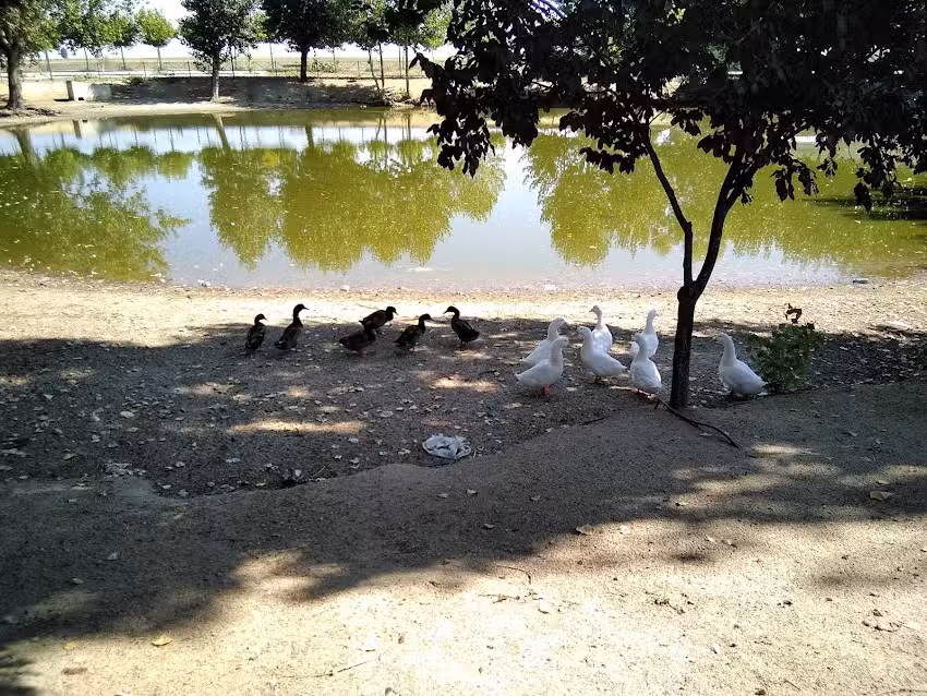 Centro Social La Laguna