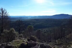 Centro Social La Parrilla