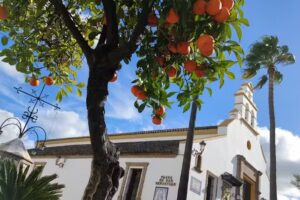 Cerveceria &laquo;Fundaci&oacute;n El Bulli&raquo;