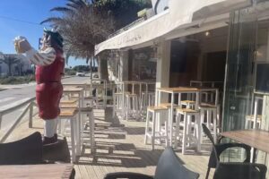 Cervecería La Palmareña | Tapas y Pescaito en El Palmar, Cádiz