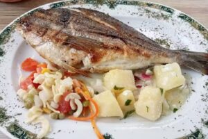 Cerveceria Nuevo Central