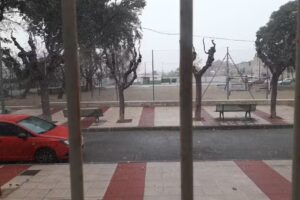 Cervecer&iacute;a Pati&ntilde;o