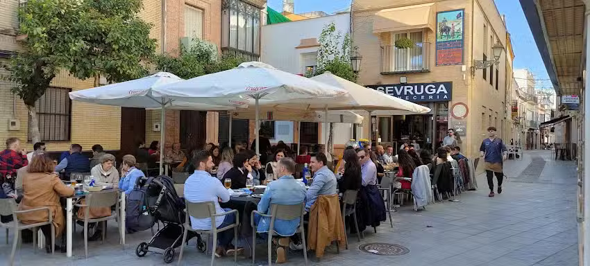 Cerveceria Sevruga