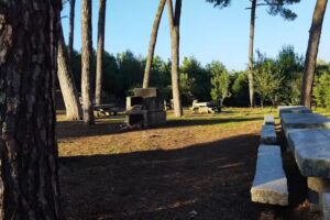 Chiringo &Oacute;scar en Zoo Vigo