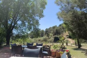 Chiringuito El Collao