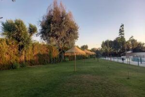 Chiringuito El Robledo