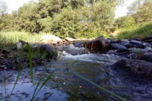 Chiringuito La Ara&ntilde;a