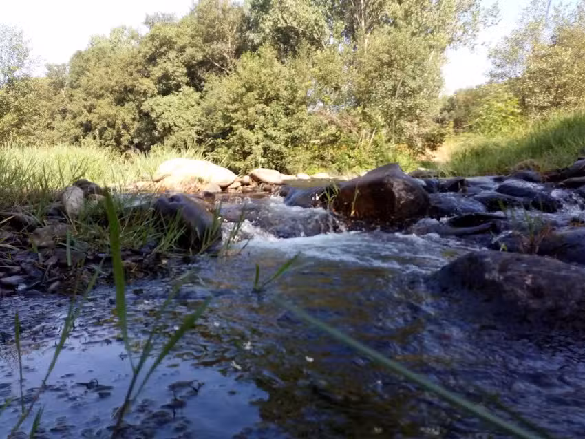 Chiringuito La Ara&ntilde;a