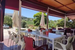 chiringuito las flores