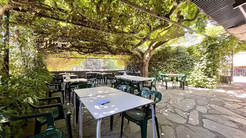 Chiringuito Oasis