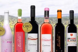 Cooperativa Ntra. Sra. de la Soledad Fuensalida