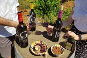 Cortijo El Cura Eco-Bodega. Bodegas Laujar de Andarax – La Alpujarra Almería