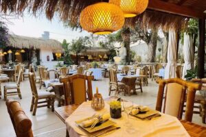 C&Ocirc;T&Ocirc; IBIZA &ndash; Vietnam Japan cuisines