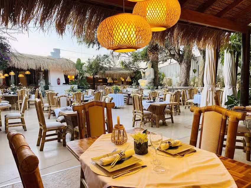 C&Ocirc;T&Ocirc; IBIZA &ndash; Vietnam Japan cuisines