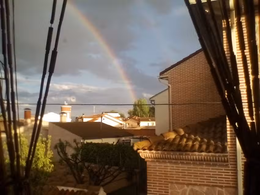 Disco Bar los Chopos