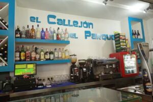 El Callej&oacute;n del Parque