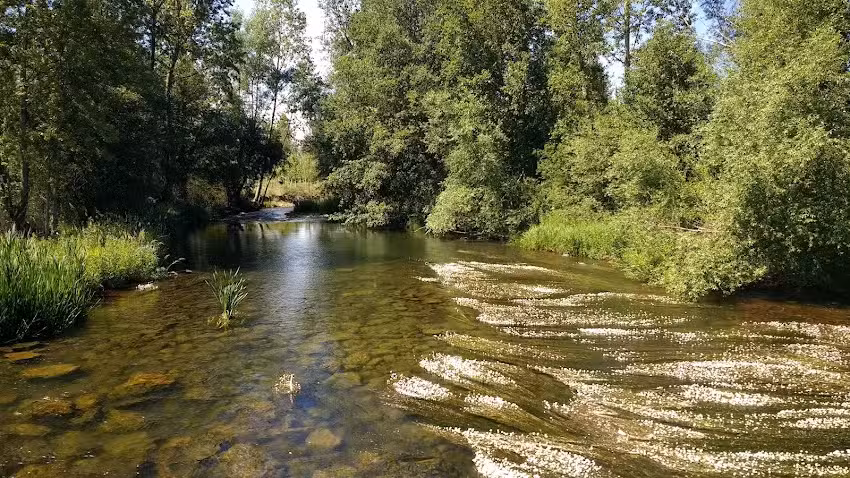 El Campo