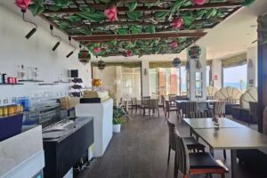 El Drag&oacute;n de Marina d&rsquo;Or