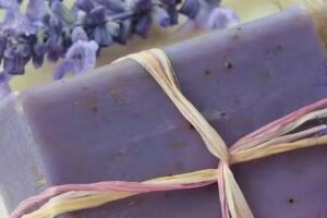 El Jard&iacute;n de la Alegr&iacute;a