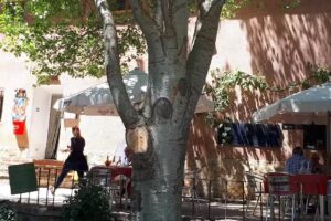 El Molino de Algarbe