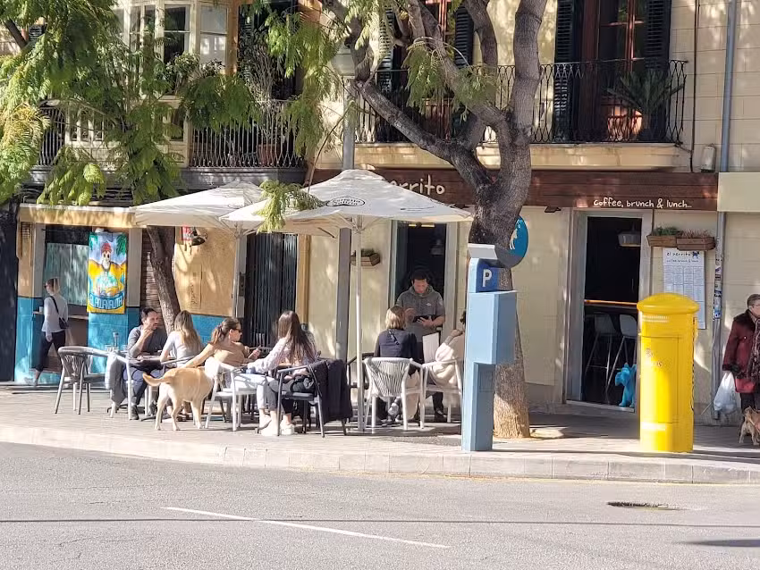 El perrito &ndash; Coffe & Brunch | Sa Feixina