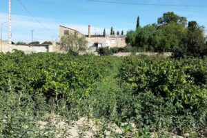 El rac&oacute; de Br&agrave;fim