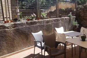 El Rinc&oacute;n del Zorro