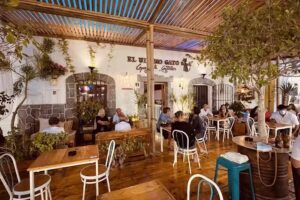 El &Uacute;ltimo Gato