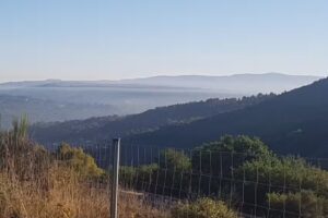 Elisa Gonz&aacute;lez Villanueva