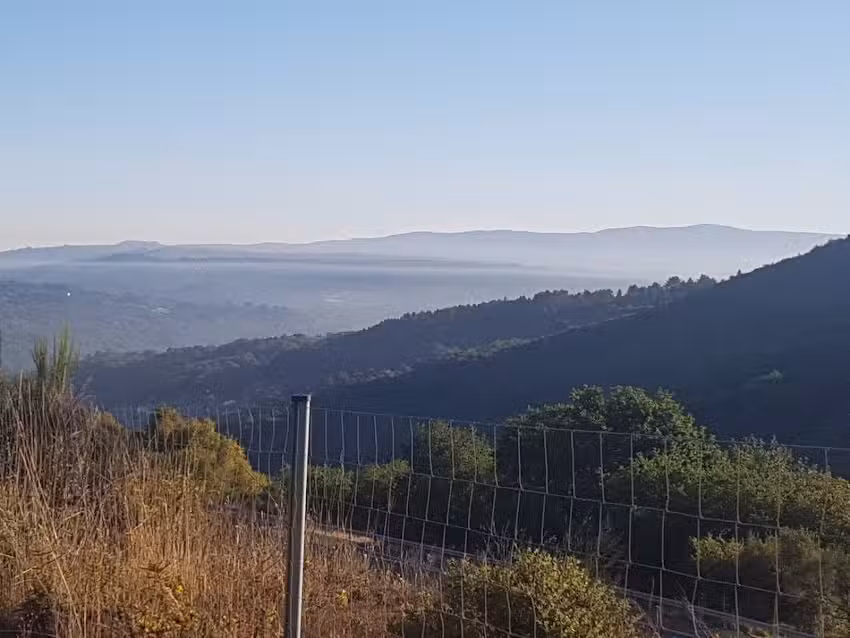 Elisa Gonz&aacute;lez Villanueva