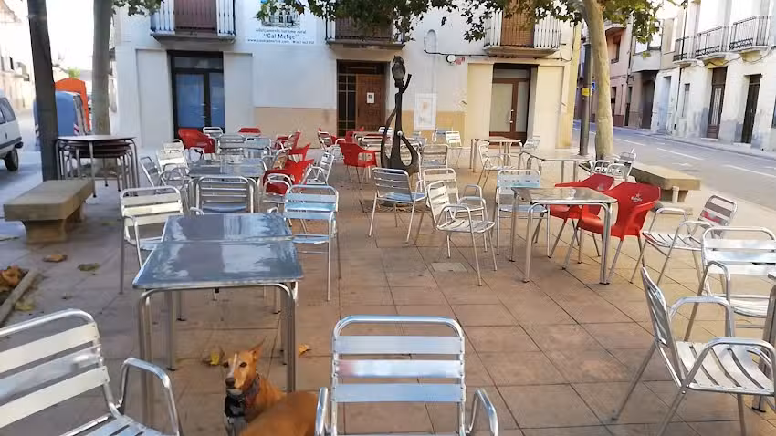 Els 7 gato&rsquo;s Bar de Desi