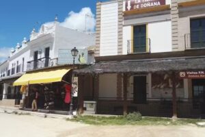 Er Peregrino del Ajol&iacute;