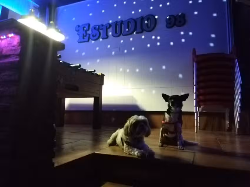 Estudio 98