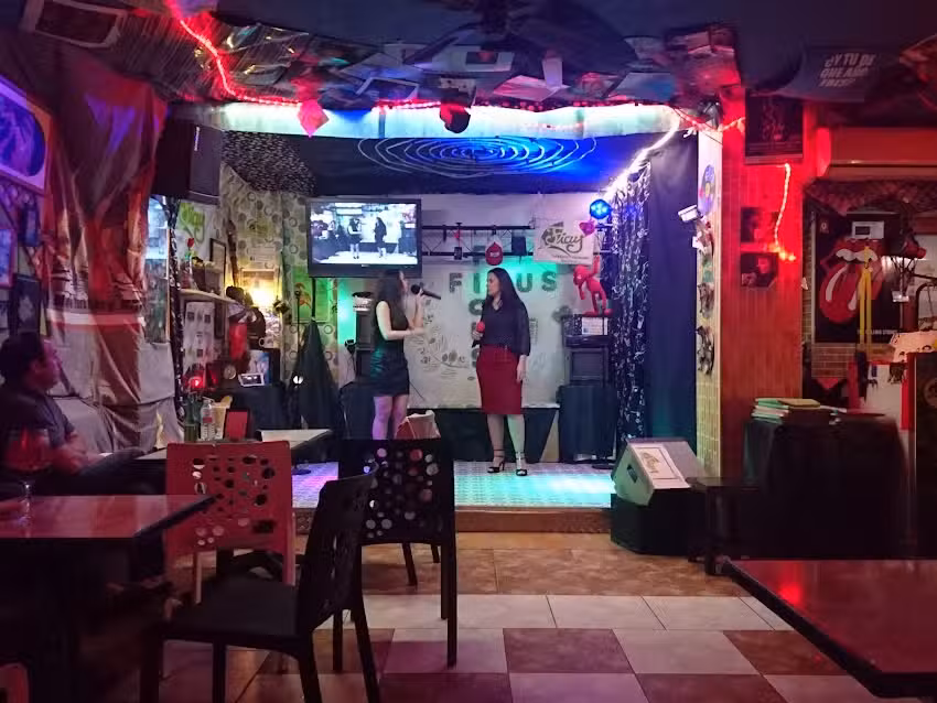FICUS KARAOKE & COCKTAILS