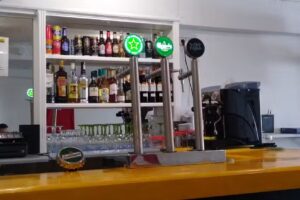 Go Bananas Sports & Fun Bar