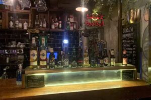 Gorila Malasa&ntilde;a