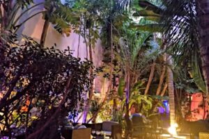 HANAMI COCKTAIL GARDEN