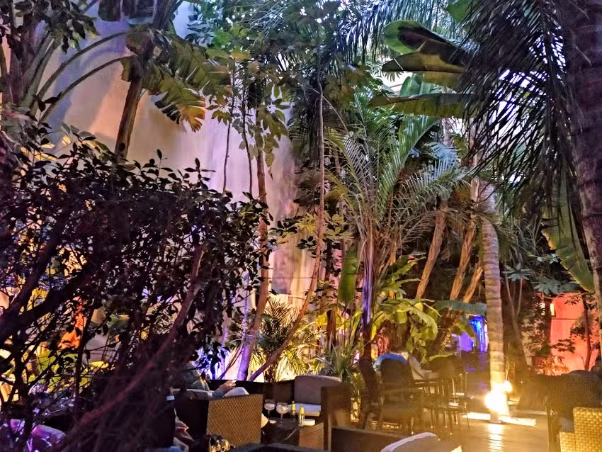 HANAMI COCKTAIL GARDEN