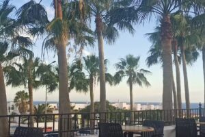 Harp and Shamrock Bar