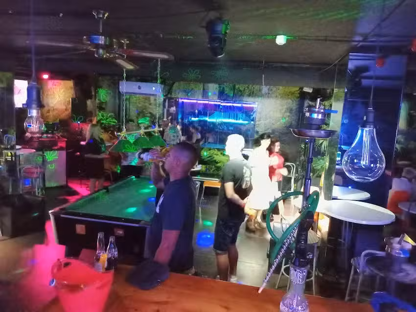 Iguana bar