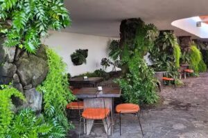 Jameos del Agua &ndash; Bar Galer&iacute;a