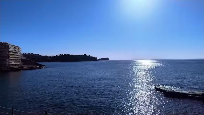 Jard&iacute;n de Playa Pool Bar