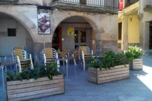 Jordi Esplugas Amen&oacute;s