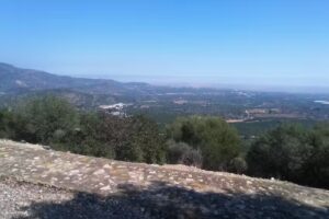 Juan Pedro Lara M&aacute;rquez