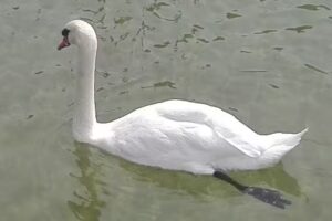 Juan Ramón Marqués Rubio