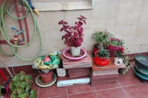 Juana Gonz&aacute;lez Rodr&iacute;guez