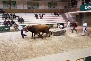 Jubilados San Trokaz Elkartea