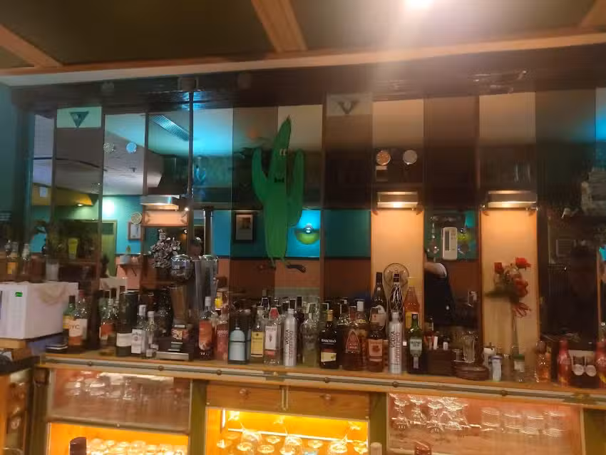 Kactus pub