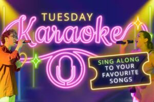 Karaoke Club | Miky House Valencia